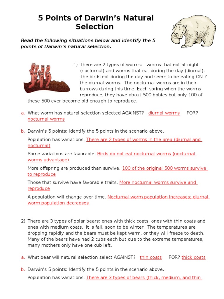 5 Points Of Natural Selection Answer Key 1 Natural Selection Adaptation