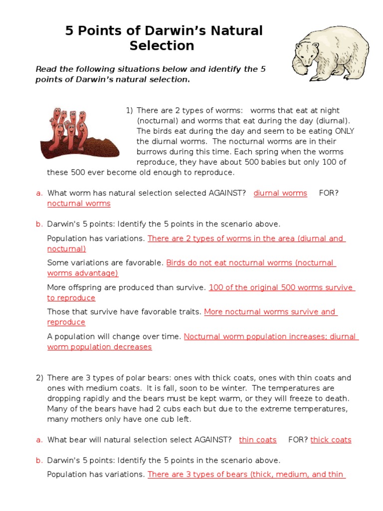 23 Points of Natural Selection - Answer Key  PDF  Natural Within Darwin Natural Selection Worksheet