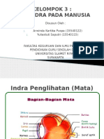 Power Point Indra Manusia2222