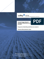 Coffey Tschudi Resource Estimate 13112009 Final PDF