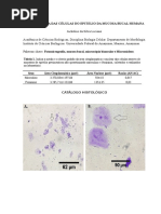 Morfometria Das Celulas da mucosa bucal