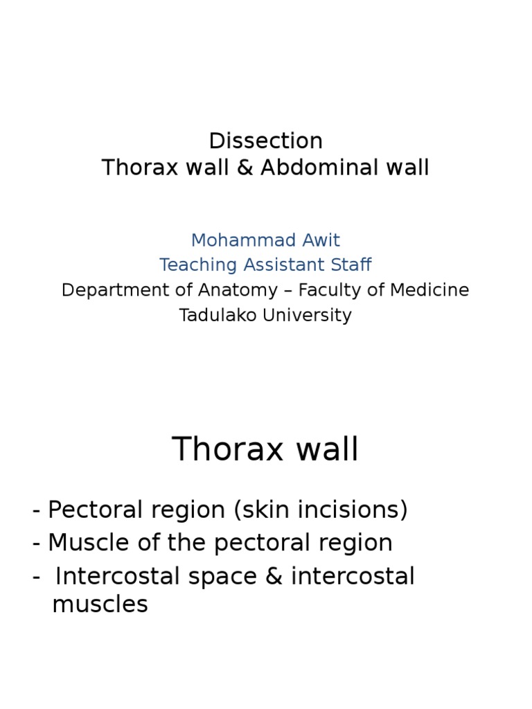 Anatomy of Thorax and Abdominal Walls | PDF
