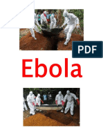 Ebola Pulaar