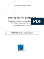 _Projet de Fin d Etudes_carbonatation