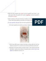 Magnetismo.pdf