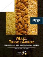 Maiz Trigo Arroz