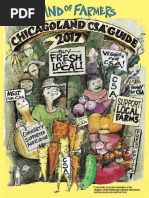 Download Chicago CSA Guide by artodd1 SN344976303 doc pdf