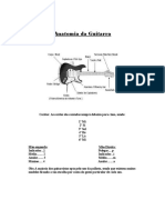 Anatomia Da Guitarra