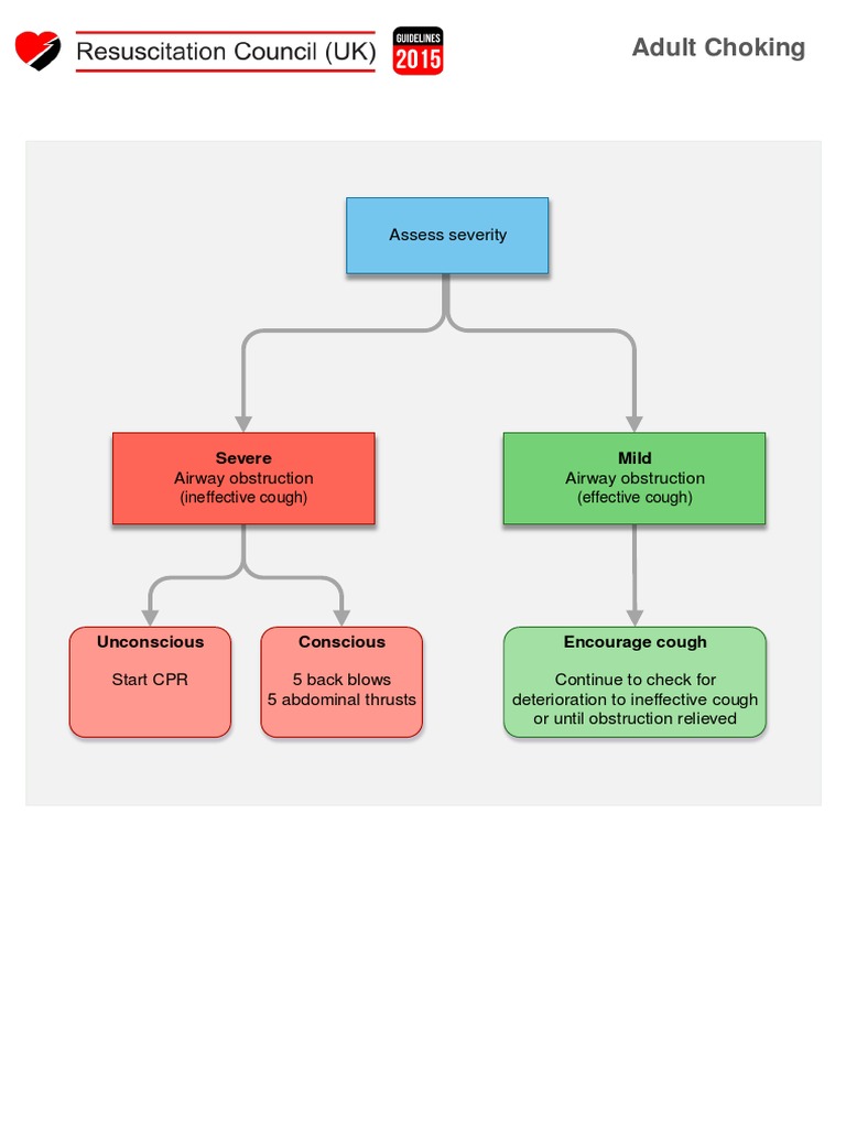 Adult Choking Response Guide | PDF