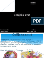 Prezentacija Celijska SMRT