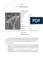 OPTIMASI E.COLI DAN ACETOBACTER