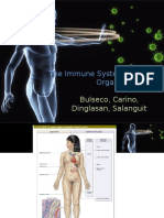 The Immune System & Lymphoid Organs: Bulseco, Carino, Dinglasan, Salanguit