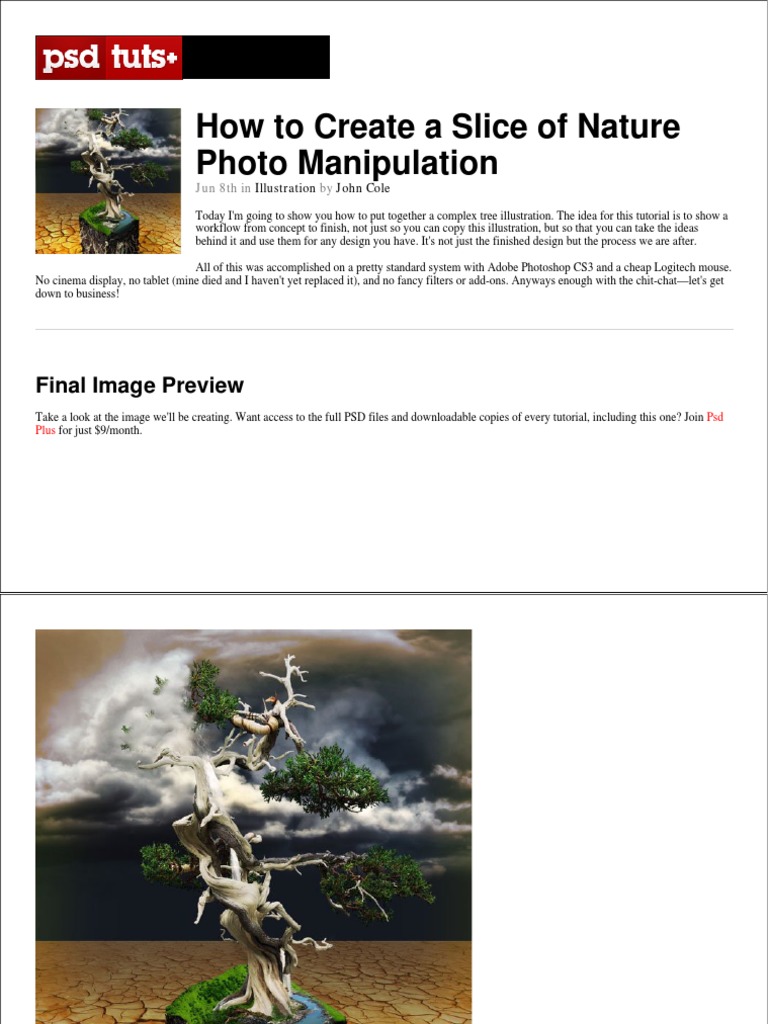 Tree Illustration Photo Manipulation Guide | PDF