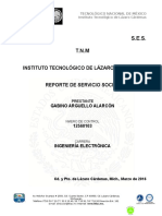 Reporte Final Servicio Social Gabino