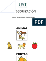 Categorización Versión Simple