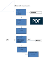 Cadena Epidemiologica Leishmania Mucocutanea