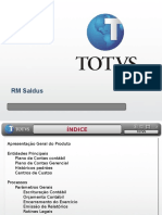 Gerenciamento contábil e financeiro com RM Saldus