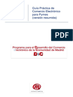 Guia Pymes Comercio Electronico Resumen.pdf