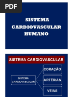 sistema circulatório 12.pdf