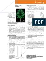 Exercitiu 3d in Autocad Crearea Unui Arbore