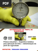 PC-06 Perfil Rugosidade 2012