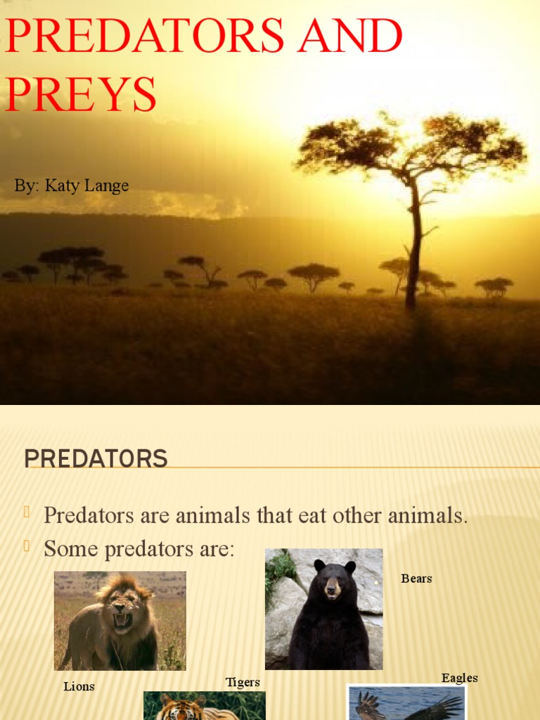 Predators and Preys | PDF