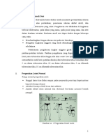 Muskuloskeletal Examination