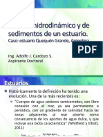 Modelo hidrodinámico y de sedimentos de un estuario