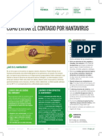 Cómo prevenir el contagio por Hantavirus