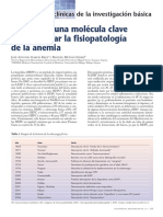 Anemia Una Molécula Clave para Explicar La Fisiopatología de La Anemia