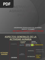 Actividad Agraria en El Peru