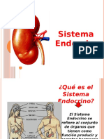 Sistemaendocrino