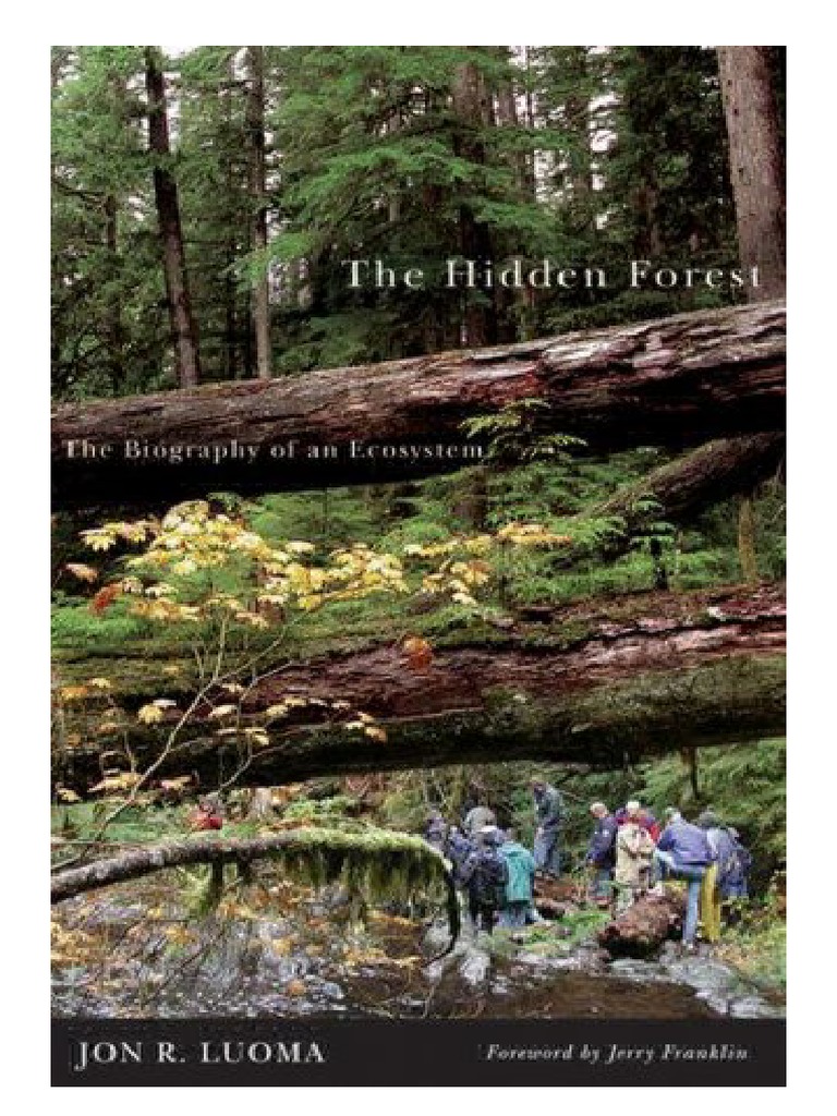 The Hidden Hand In Forest Rebirth The Full Story Of Reforestation - ychhgsu