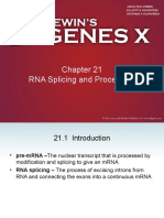 RNA Splicing and Processing