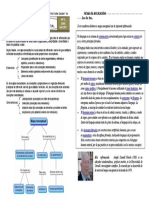 1 Mapa Conceptual