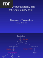 Anti Inflamatory Drugs AINS