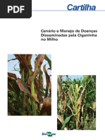 Cenario-manejo-cigarrinha