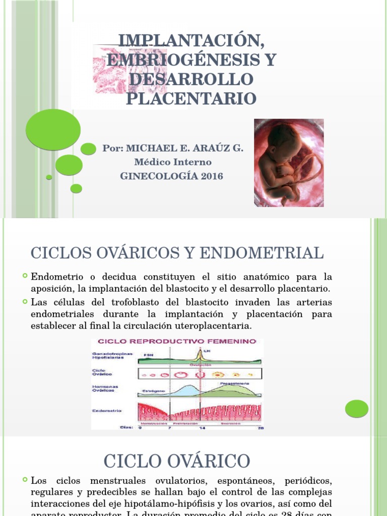 Implantación Embriogenesis y Desarrollo Placentario | PDF | Placenta ...