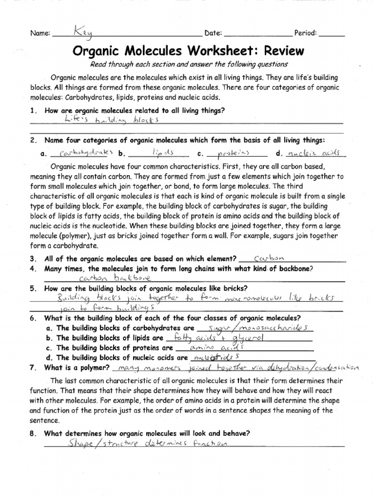 WS Macromolecules Review Key PDF  PDF With Regard To Organic Molecules Worksheet Answer Key