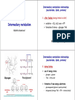 VK Intermediary Metabolism Web PDF