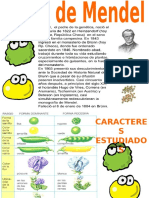 4. Leyes de Mendel