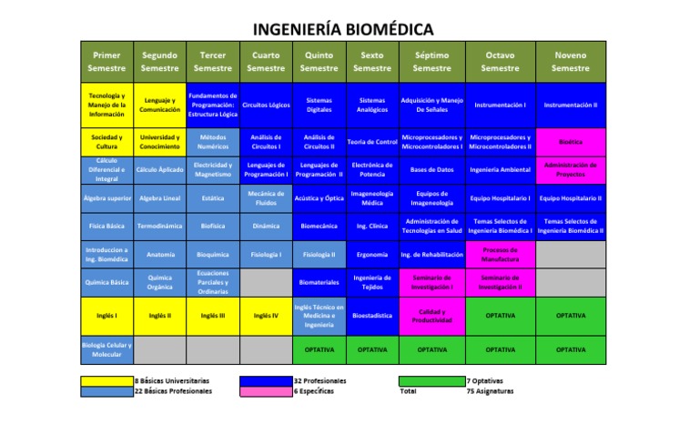 An Overview of the Curriculum for a Biomedical Engineering Degree | PDF ...