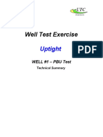 Well Test Exercise 