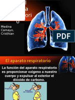 Fisiopatologia Del Sistema Respiratorio 3