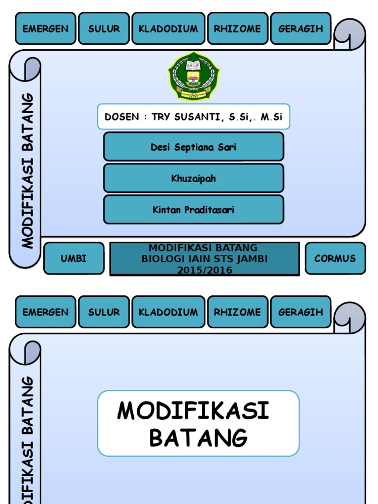 KELOMPOK 6pptx