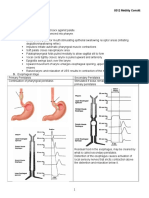 NDD to IDDSI Transition Guide | PDF