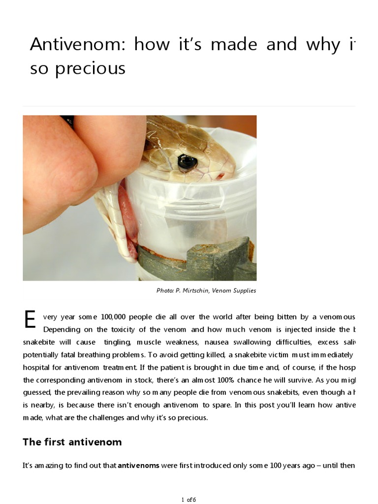 Antivenom How It's Made and Why It's So Precious PDF Venom Snake