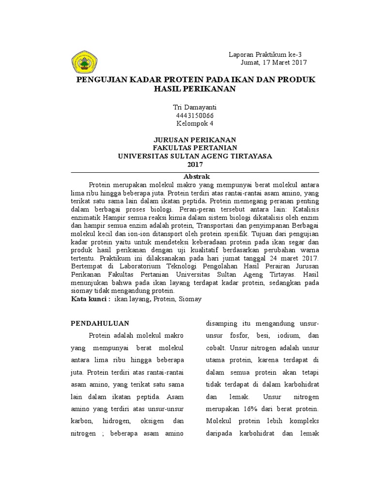 Protein Adalah Molekul Makro Yang Mempunyai Berat Molekul Protein Adalah Molekul Makro Yang Mempunyai Berat Molekul