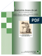 esqueleto_do_pe01.pdf