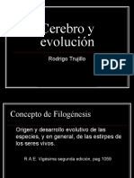 Cerebro y Evolucion (1)